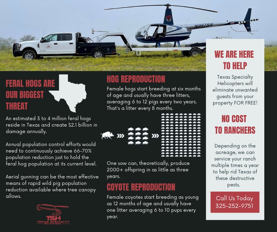 helipighunts's tweet photo. Helicopter Pig Hunting at The Divided Find Ranch &amp; Lodge!  Let’s take on Texas' feral hog invasion together. Book your adventure today and make a real impact! 
https://t.co/5qAzFTPgn7
#TexasHogHunting #HelicopterHunting #DividedFindRanch https://t.co/7OnHPMGnag