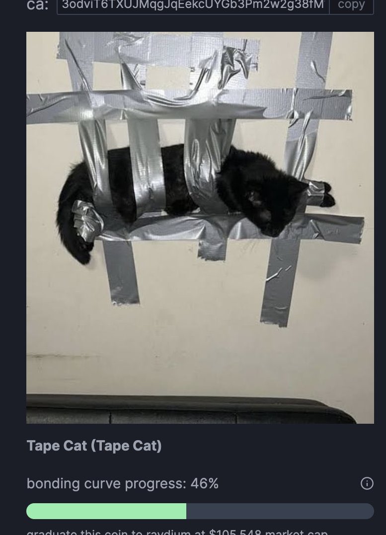 Sukuna Crypto ⛩️ tweet media