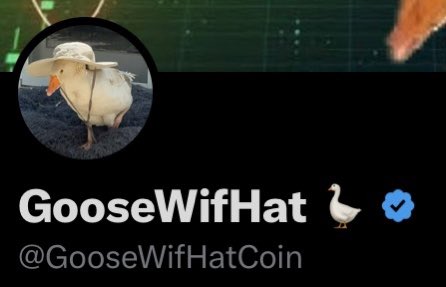 VERIFIED TO SEND 🪿