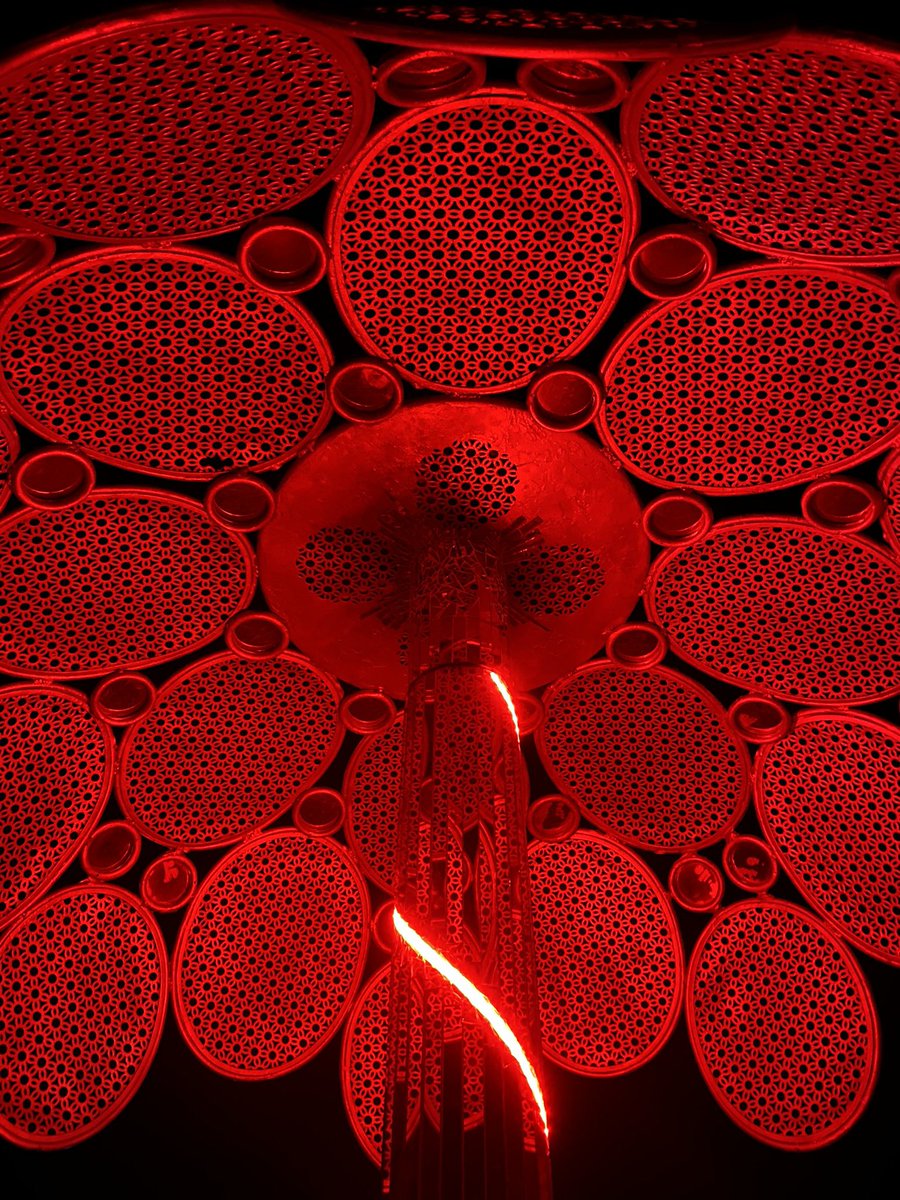 toobslug's tweet photo. The mushroom spins btw https://t.co/HDXrSvL6Q2