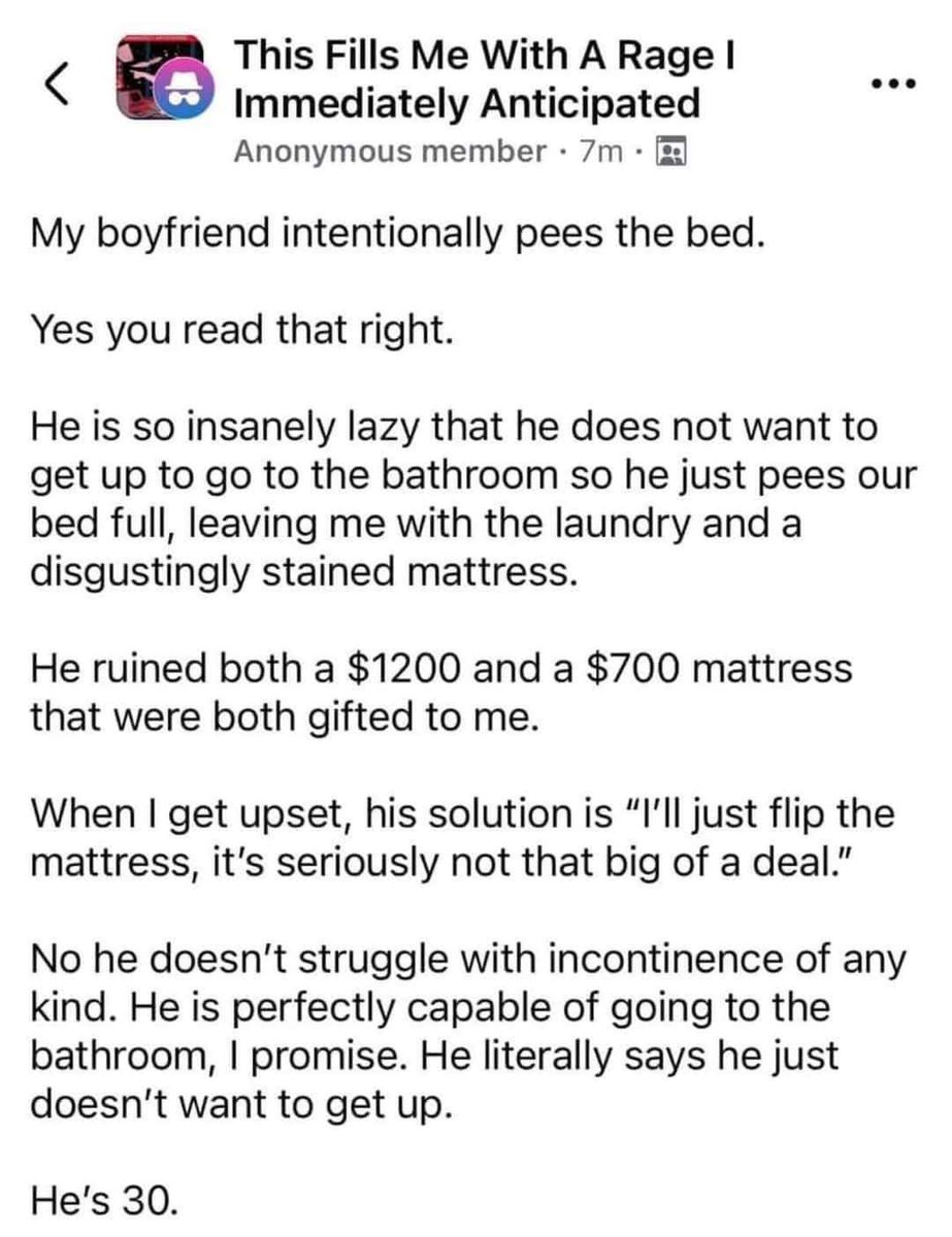 Dzintra - Author tweet media