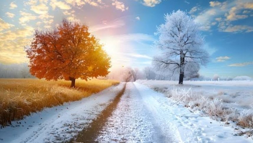 a7329461's tweet photo. The beauty of autumn fades into the serenity of winter, showing us the art of letting go and embracing change.❄️🌬🍁

#SeasonalChange #AutumnToWinter
#WinterWhispers #FadingAutumn #EmbracingSeasons #SereneSeasons #PeacefulWinter #NatureTransitions #WinterEmbrace
🧡❤️ https://t.co/DnuTCZECCo