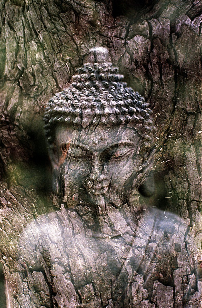 सच्चा प्यार समझदारी से ही पैदा होता है। 
                                                             -गौतम बुद्ध