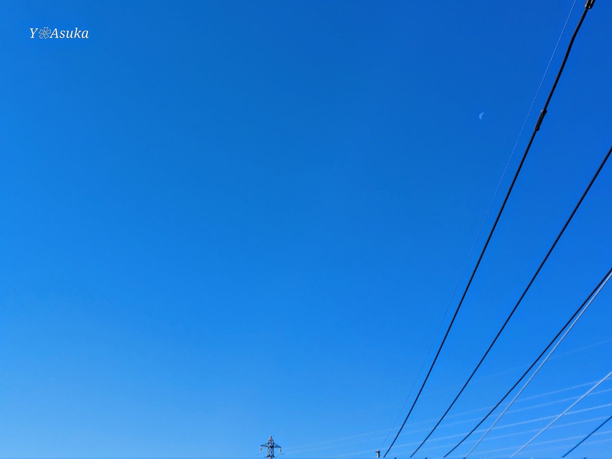 yumeasutw's tweet photo. #青空 にお日様燦々✨快晴の冷えた日曜日の朝☀️
西の空���く残る白い🌗 #有明月 (月齢22.5)
予想最高/最低気温🌡️14℃/1℃
晴れ☀️
お洗濯日和👕👖午後は北風が寒そうです🌬️➰➰🍁
#イマソラ #いまそら
#イマツキ #いまつき #月 #moon
#空の名前
#天気の図鑑 #雲の超図鑑
#鉄塔
#a2024 #a1124 #a202411 https://t.co/2u0XREcbzU