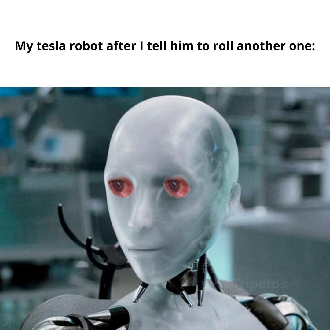 HybridFilters's tweet photo. Eager to teach the tesla robot all my weed knowledge, he will be the real deal. 🫡 @elonmusk https://t.co/rlzuIRxzOb