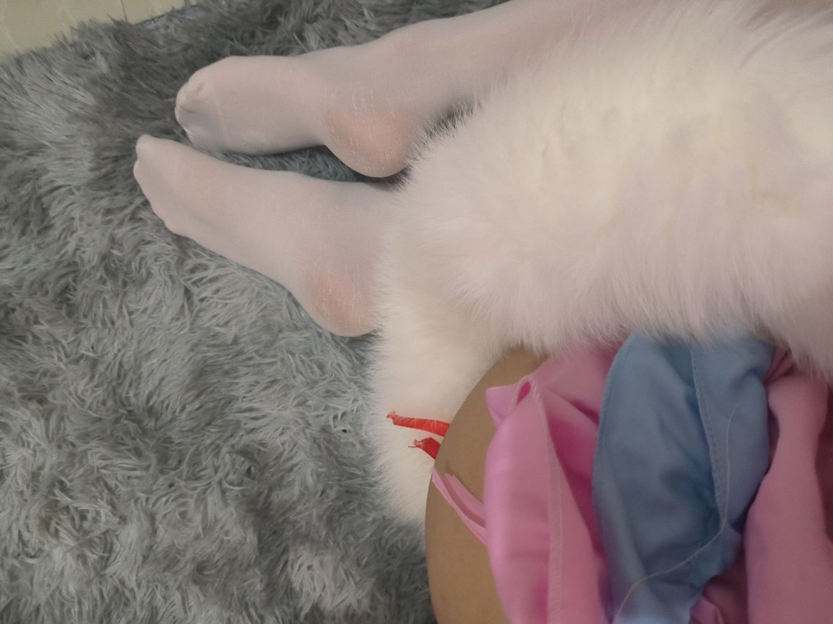 #白丝 #尾巴 最喜欢尾巴了