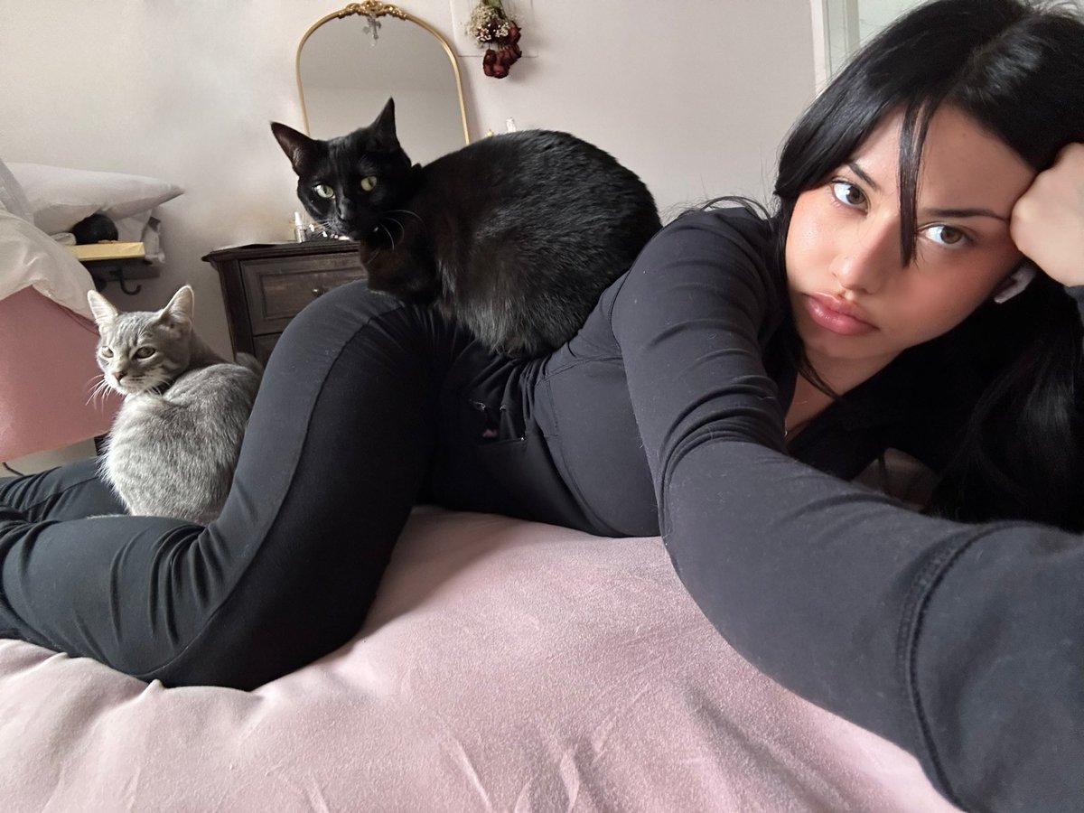 joyce ⋆｡°✩ tweet media