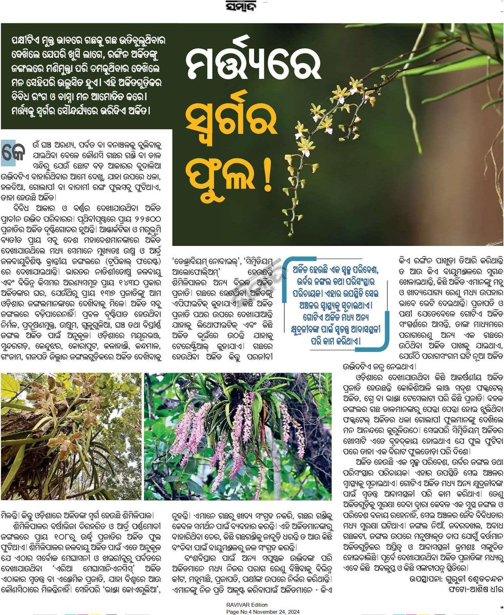 Gurujee Swetachandan tweet media