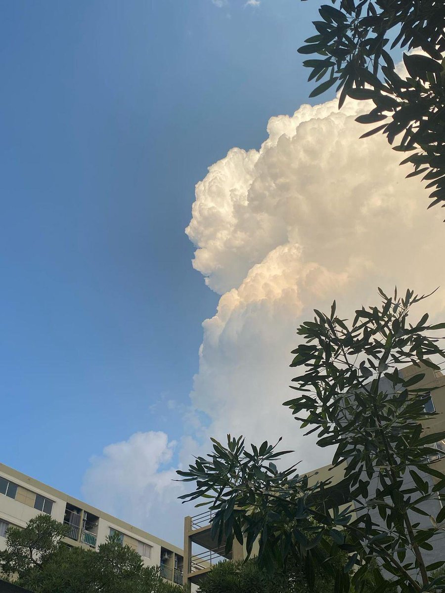 Skyisme_x's tweet photo. ☺︎︎
𝘄𝗵𝘆 𝗱𝗼 𝗶 𝗸𝗲𝗲𝗽 𝗾𝘂𝗲𝘀𝘁𝗶𝗼𝗻𝗶𝗻𝗴 𝗺𝘆 𝘄𝗼𝗿𝘁𝗵?

ทำไมฉันถึงยังคงตั้งคำถามถึงคุณค่าของตัวเองอยู่ 

#คําคม #คําคมชีวิต #คําคมความรู้สึก #แคปชั่น #แคปชั่นภาษาอังกฤษ #แคปชั่นเด็ด #แคปชั่นน่ารัก https://t.co/kgVbmXUtu9