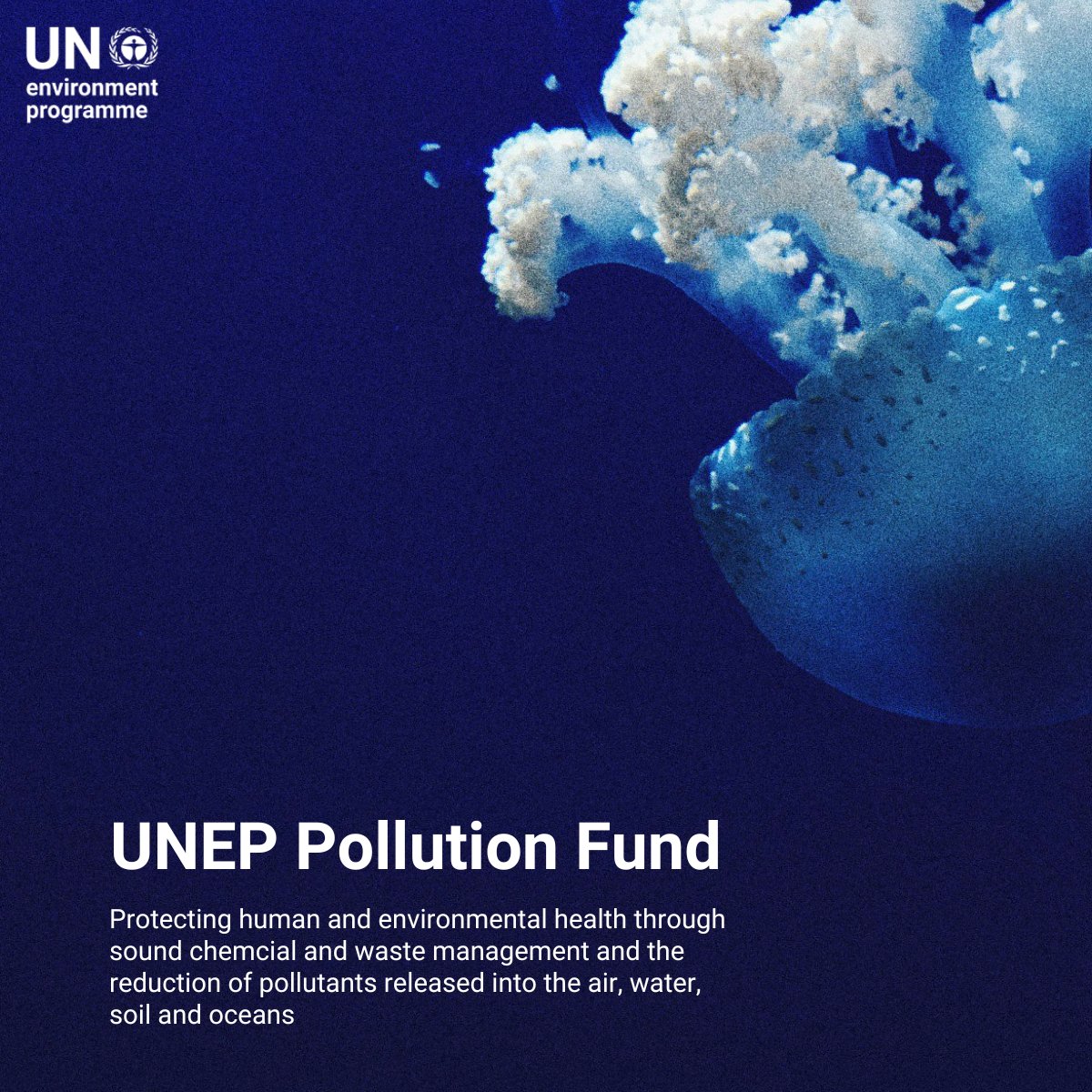 The UNEP Pollution Fund protects human and environmental health through sound chemical and waste management and the reduction of pollutants released into the air, water, soil and oceans.

See its important impacts here:  unep.org/about-un-envir… #PartnersForPlanet