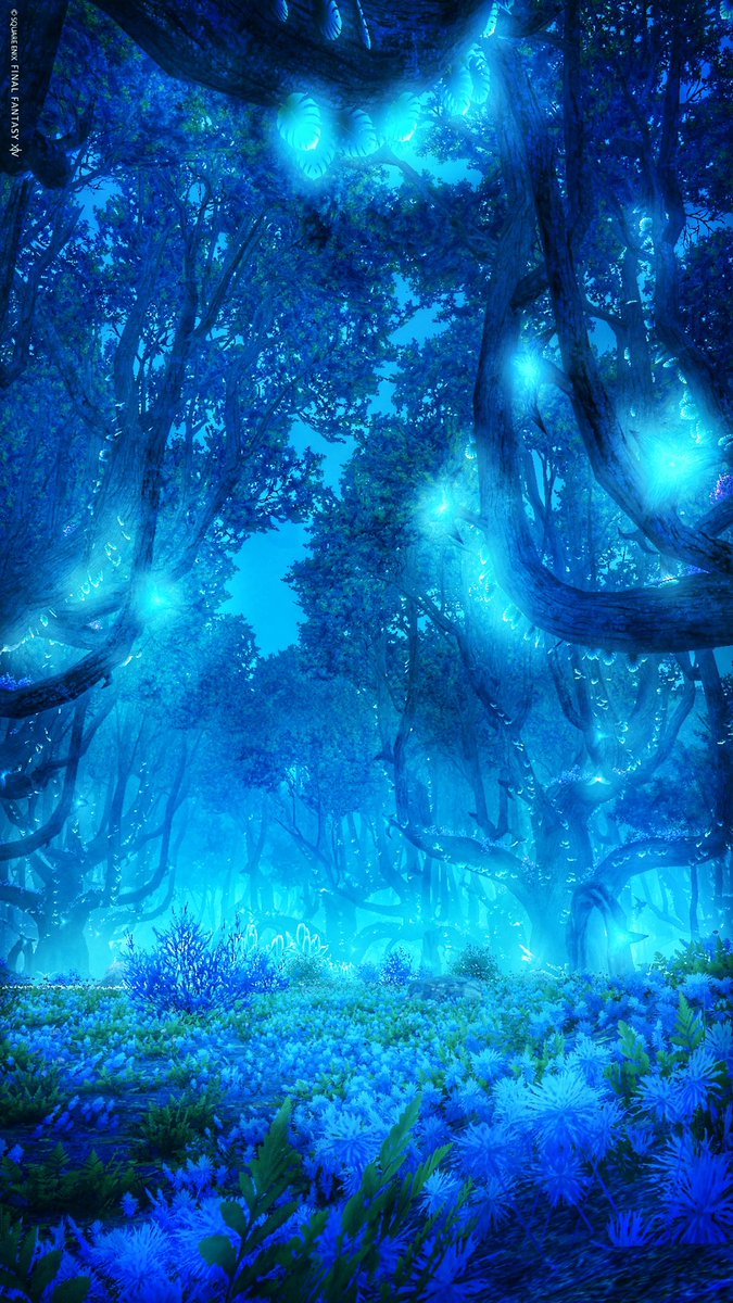 limsalove's tweet photo. 青い森その②
#FF14風景 https://t.co/IBLpRHTsSD