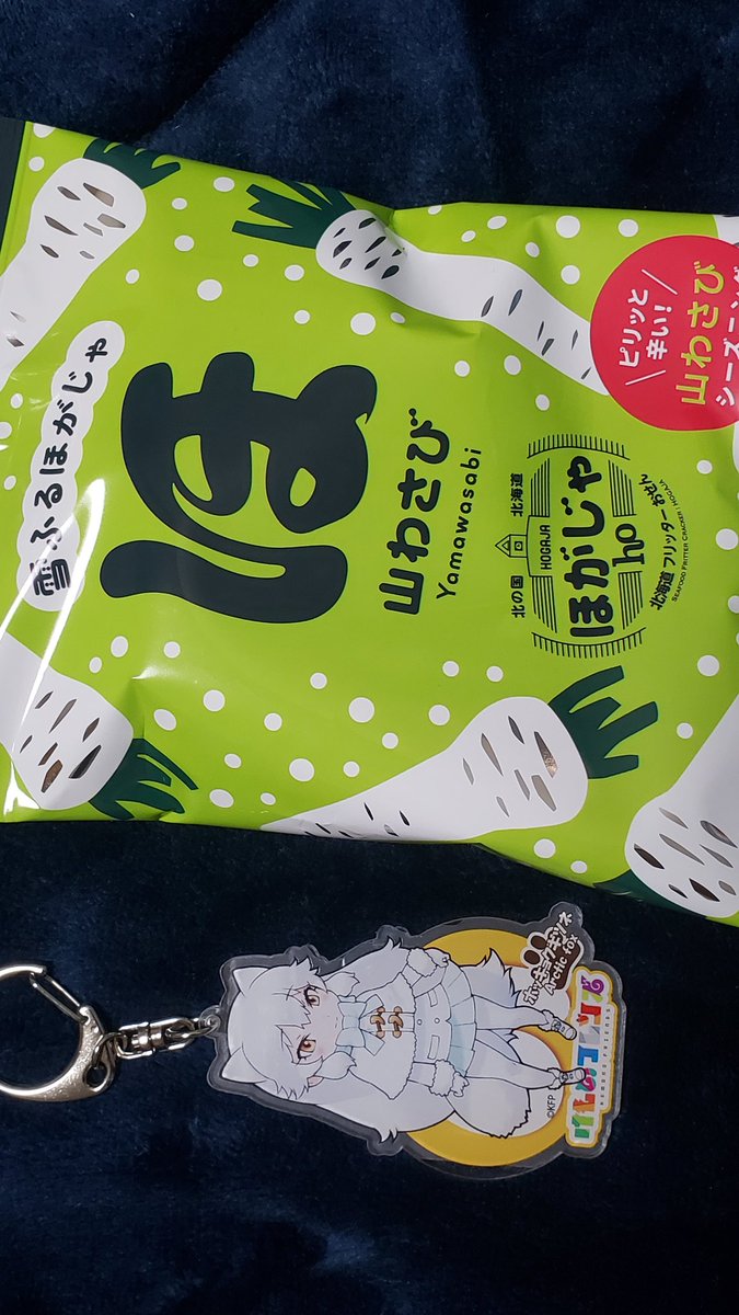 保安検査場通過してからのお店で見つけた「ほ」

雪降るホ… 私が飛んだ後本当に雪降ってきたみたいですね 