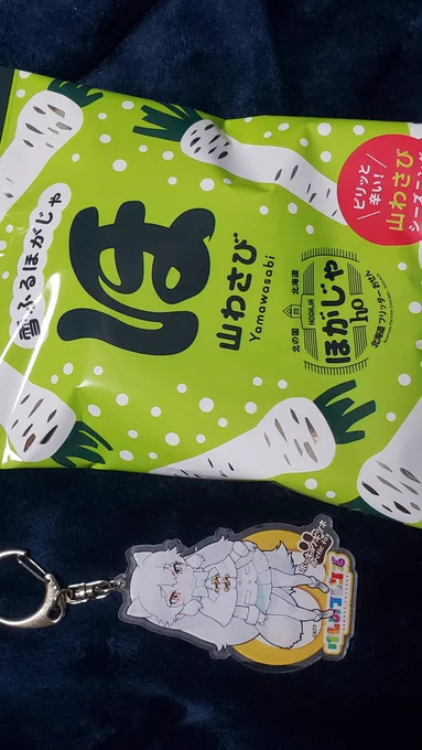 保安検査場通過してからのお店で見つけた「ほ」

雪降るホ… 私が飛んだ後本当に雪降ってきたみたいですね 