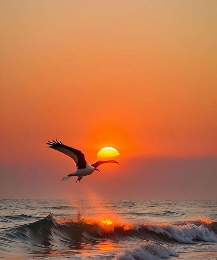 Good morning! Embrace the day with open arms, a hopeful heart, and a mind ready to achieve greatness.

Good morning X World 🌍🔙