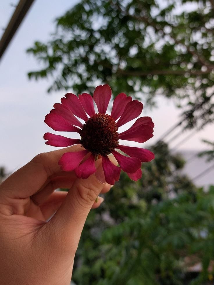 करीबी और गरीबी का सिखाया सबक इंसान को अंदर से बदलने पर मजबूर कर देता है 😔