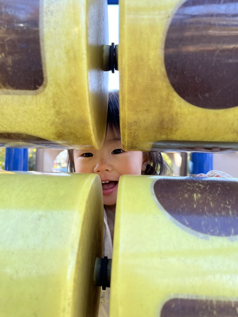 chinnchilara's tweet photo. 手を保湿して、先週に続き2回目の髪結び。ゴムを持っている指は3本で運用するのが良いようだ。
昨日は親戚と公園でツーショット。寒い日が続くけど、親戚のように健やかな身体を一緒に手に入れようね！ https://t.co/tSKcMV1MGK