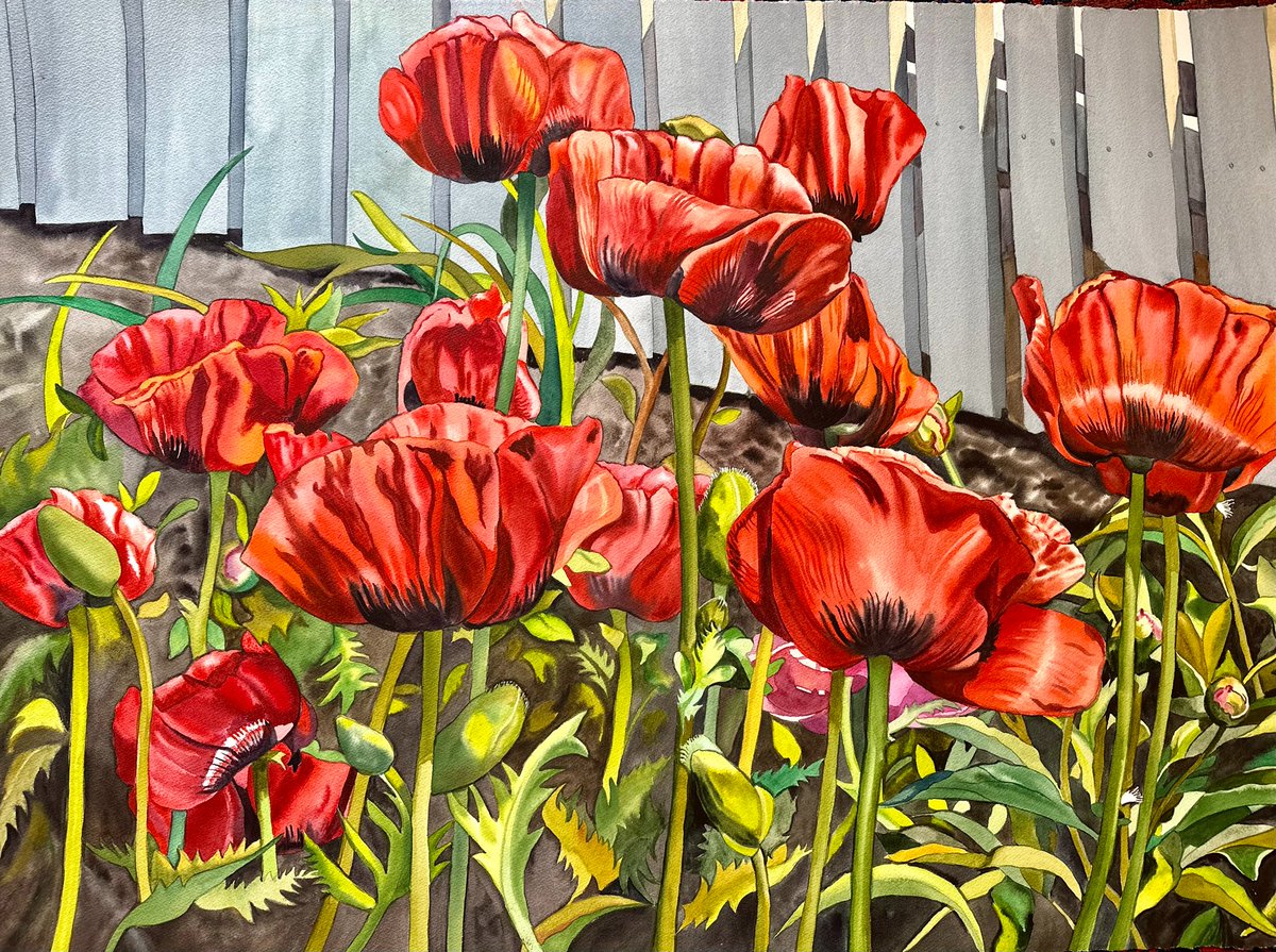 December 2024 and January 2025 Gallery 14 Presents
Magical Metaphors: Paintings by Ellen Kaiden and
Counterpoint: Study in Contrast- Photographs by Allan Teger. December 3 - January 31
Receptions: December 6 &amp; January 3, 5-8pm
gallery14verobeach.com