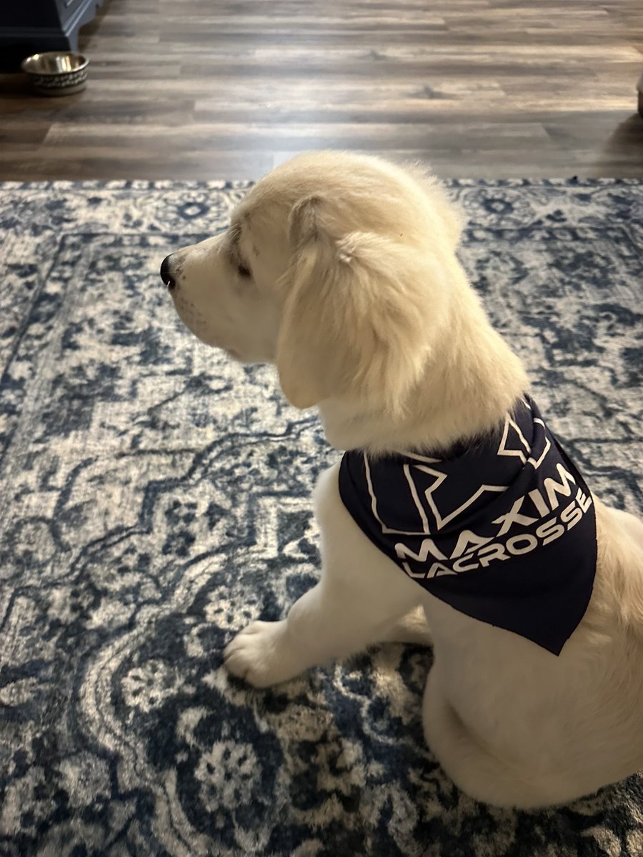Meet Navy our newest mascot!