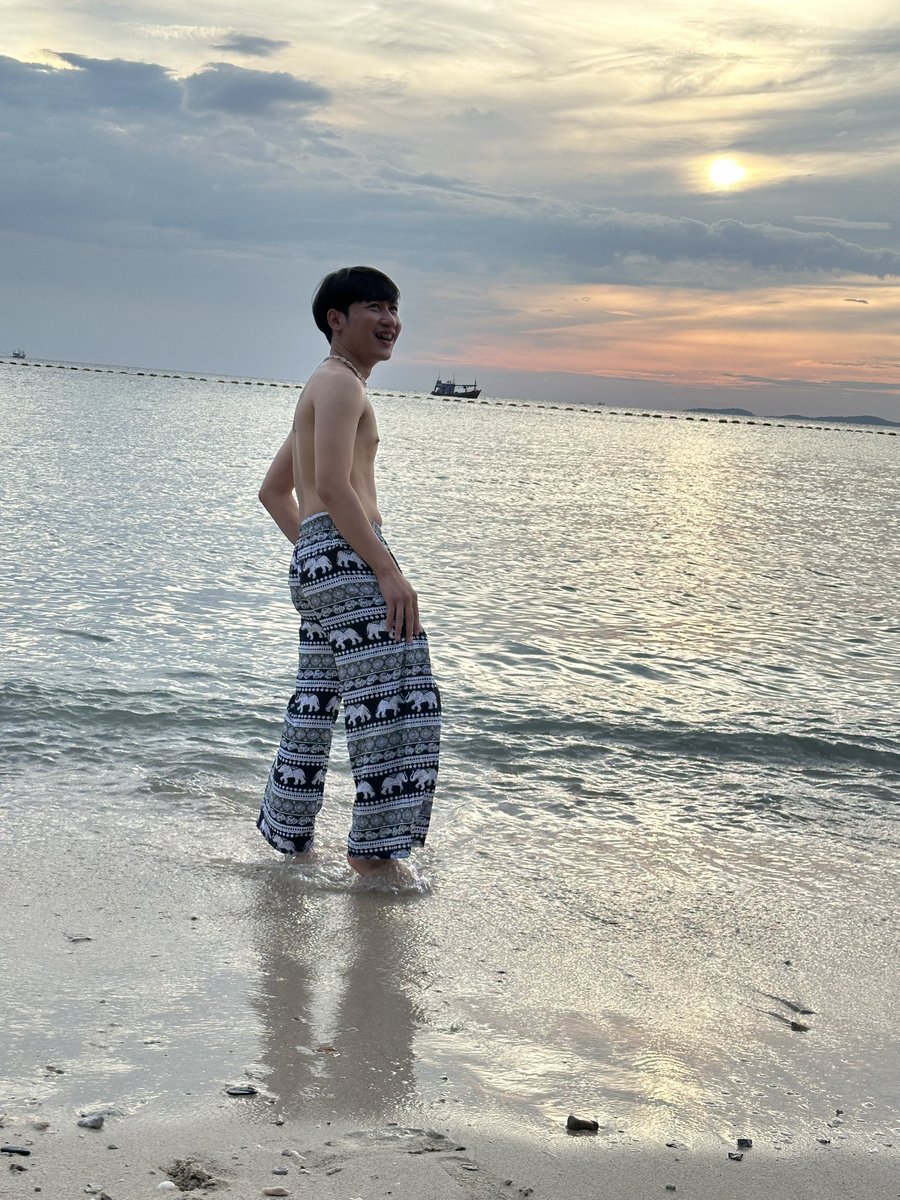 ธีม tweet media