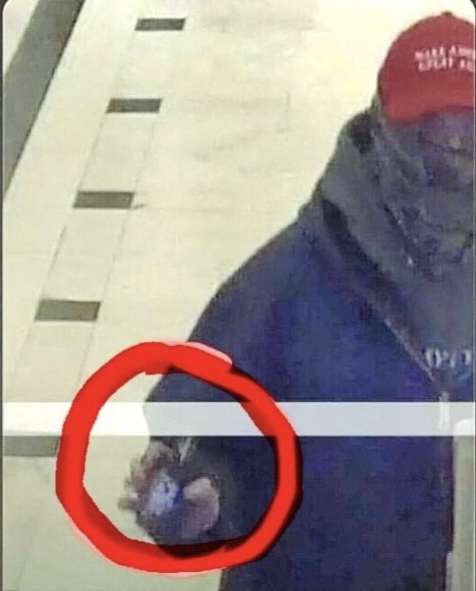 Here is a guy in the Capitol, in a MAGA hat, instigating the crowd. 

When the police come he flashes his badge to them. 

J/6 was all a set up. 

That's why they kept the footage secret for 30 months, and that’s why the J/6 committee destroyed all the evidence! 

Prosecute Liz