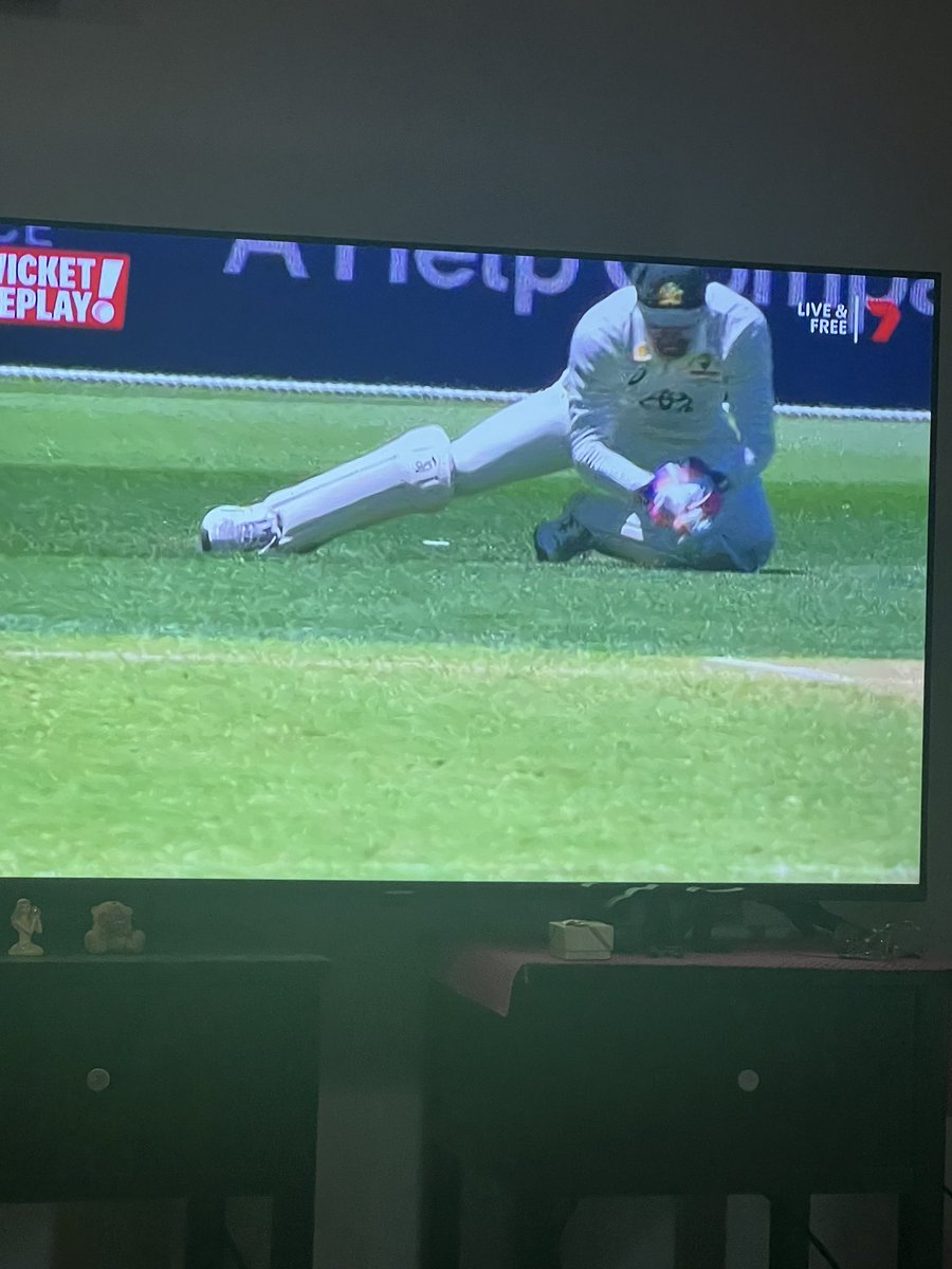 Got him!!! About time!! 

#TestCricket #australia #india