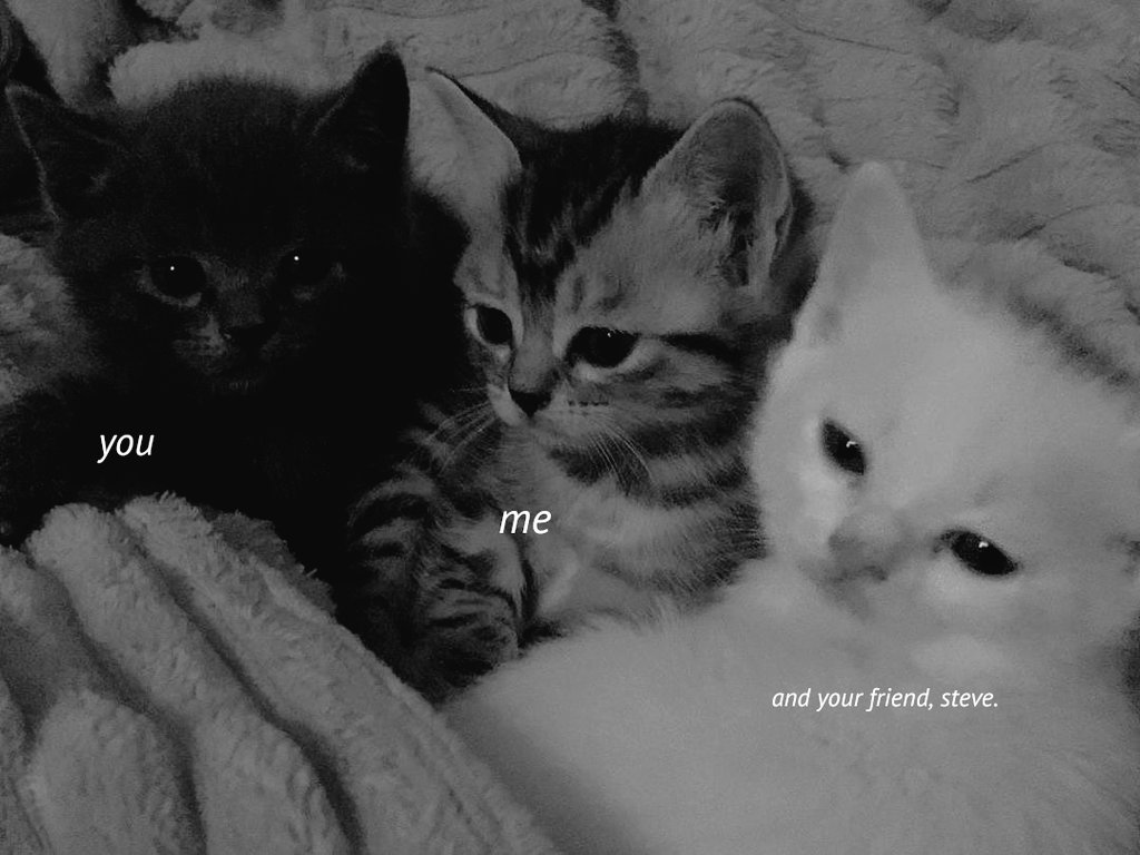Thank you for staying by my side for over a year, from when we first began until now. Our journey has been painted with all kinds of colors and memories. Let's keep strengthening this relationship and make sure the happiness we share becomes something unforgettable. 😽🖤