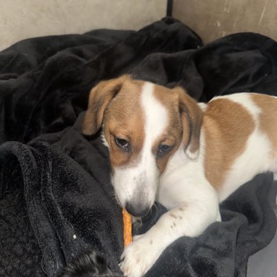 Z_Solves_It's tweet image. #NewProfilePic