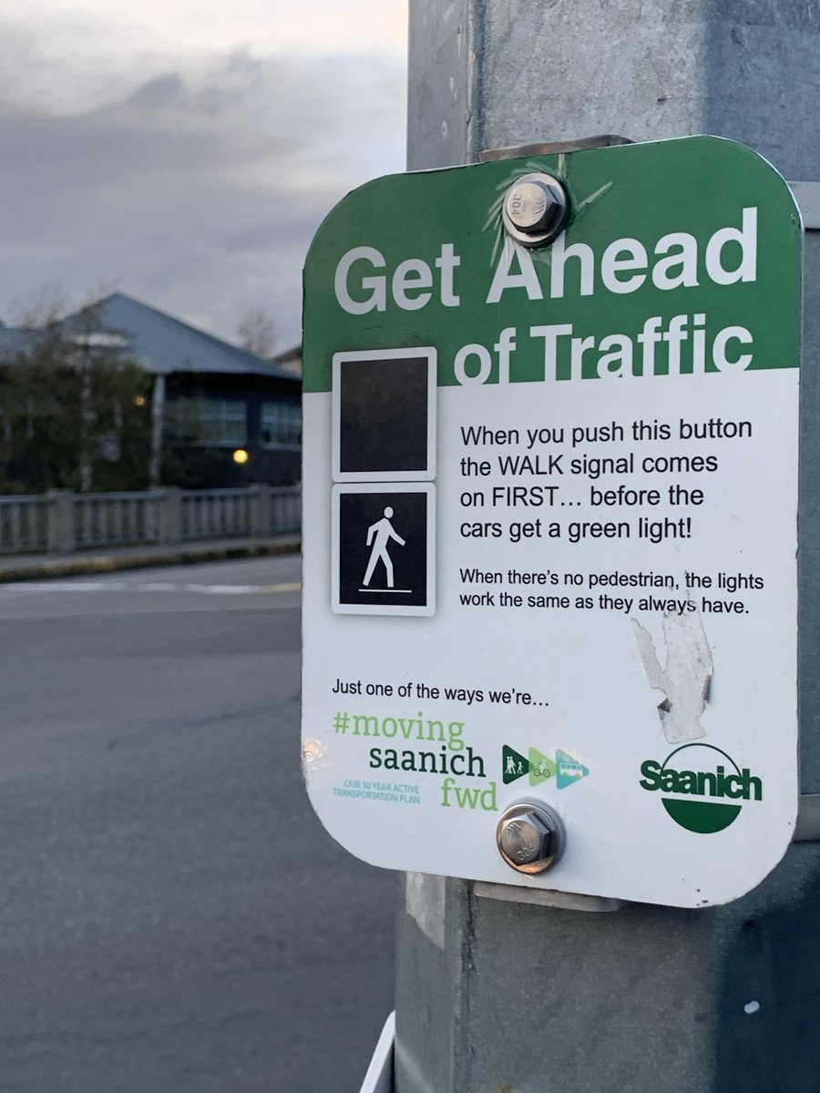 willow! 🍃 tweet media