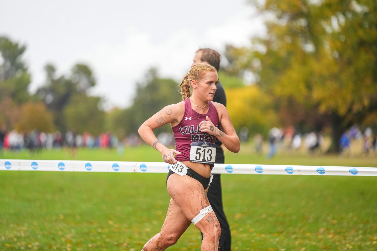 CMU Mavericks tweet media