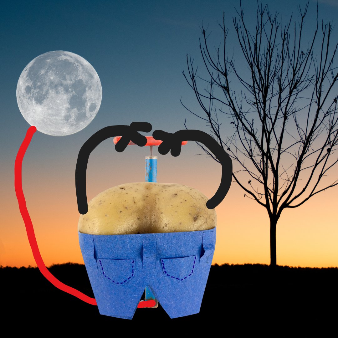 #ButtTato is pumping in the moonlight!  Be part of the #MemeCoinSeason in this #SuperCycle! Get some here: pump.fun/coin/25JaZFcz7…   $doge $floki $pepe $bonk $shib $wif $luce