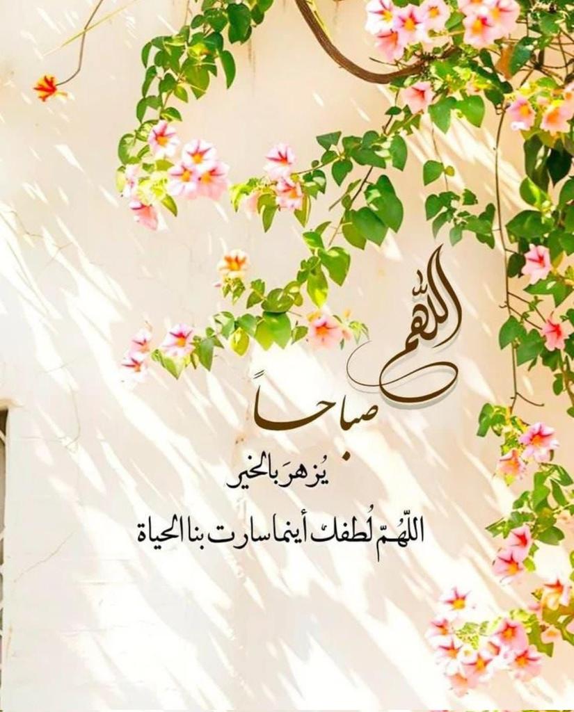 abdu75llah's tweet photo. #صباح_الخير https://t.co/Y40bomJkrv