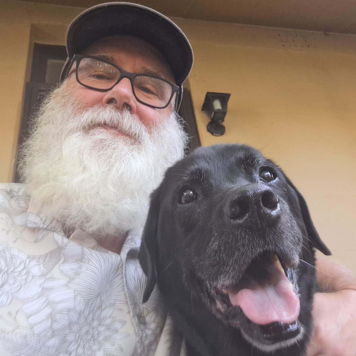 tallandtrue's tweet photo. Me: Jet, the Vet suspects you have laryngeal paralysis and you need an endoscopy and x-ray next week and possibly a follow-up operation.
Jet: Will I get a treat? β€οΈ #dogs #olddogs #mydog #mydogposts https://t.co/mdHw9VoaFU