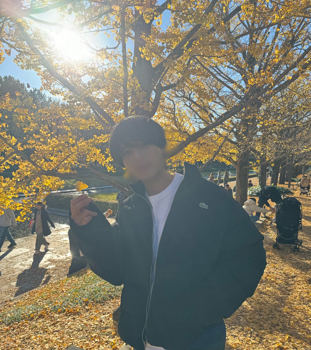 イチョウ結構散ってた😅