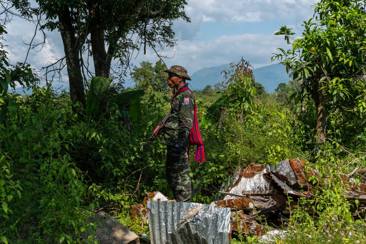 Andrew Nachemson tweet media