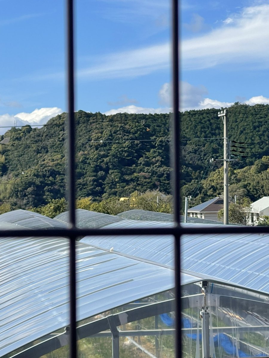 HiroCff14's tweet photo. 第6AS 印南町役場
おにぎりとプチトマト
トマト沢山食べ切れるかな😅

第5～6まで気持ち良い追い風であっという間だった
 #HUB24 https://t.co/KzR61K1weZ