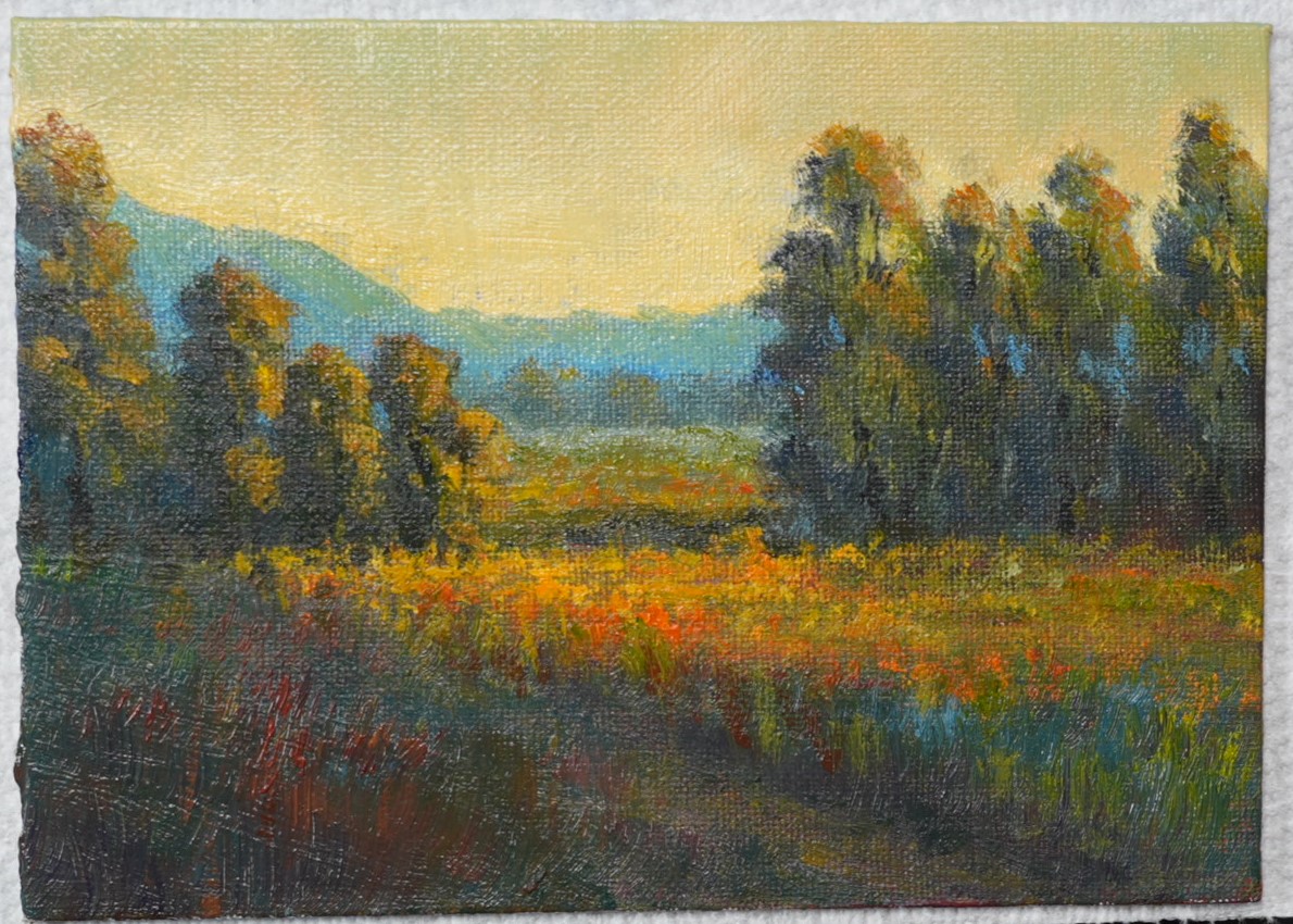 Splashes of colors for your viewing pleasure (hopefully :))!