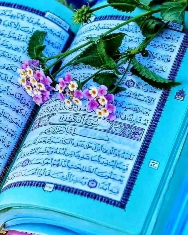 BAshaq74031's tweet photo. *قرانکری�� وایې!*🫵

*ته په دنیا کې زما تلاوت کوه،نو زه به په قبر کې ستا حفاظت وکړم..!*

💯💝✨☑️ https://t.co/wnBLAiFm0U
