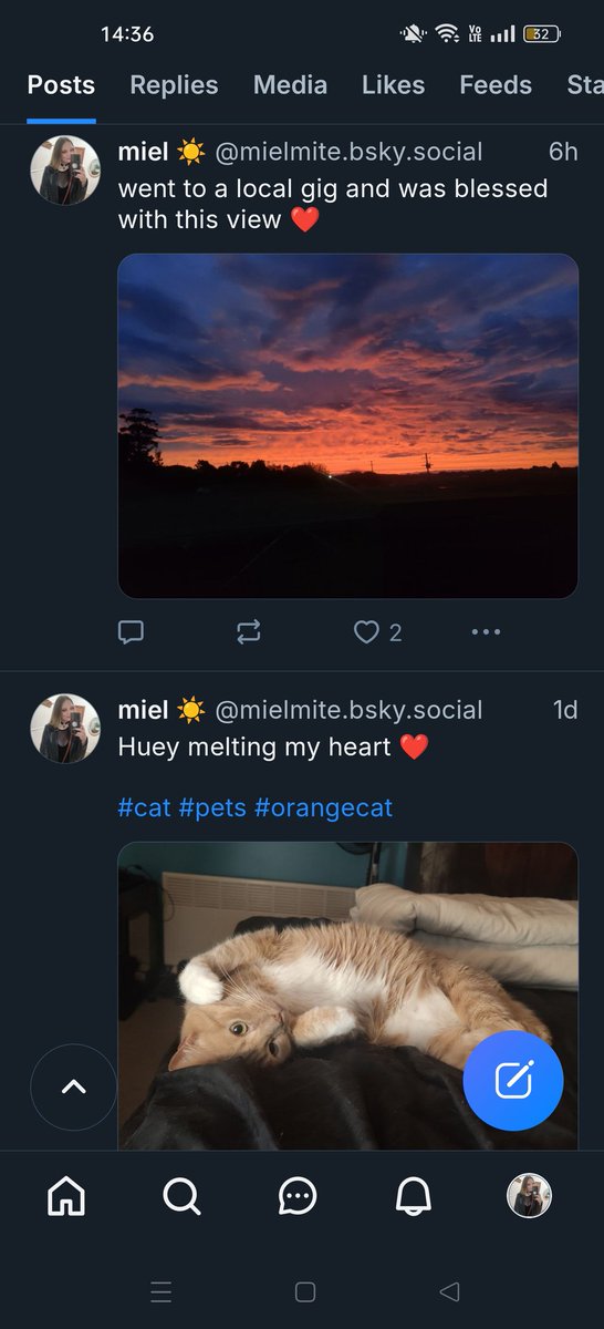 Miel ☀️ tweet media