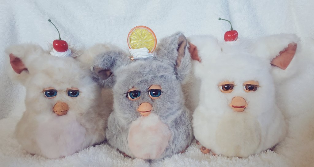 _shimako's tweet image. 念願叶って少し前にファービー2をお迎えしました。
別々にお迎えの筈が同じ月にお迎えとなりました🐥🐥🐥
左:ほっぺ 中央:ふく 右:わた
ヤタさま(@yatasanyatasan)のヘアクリップでおめかし🍒🍊✨️
#ファービー #ファービー2
#furby #砂糖菓子