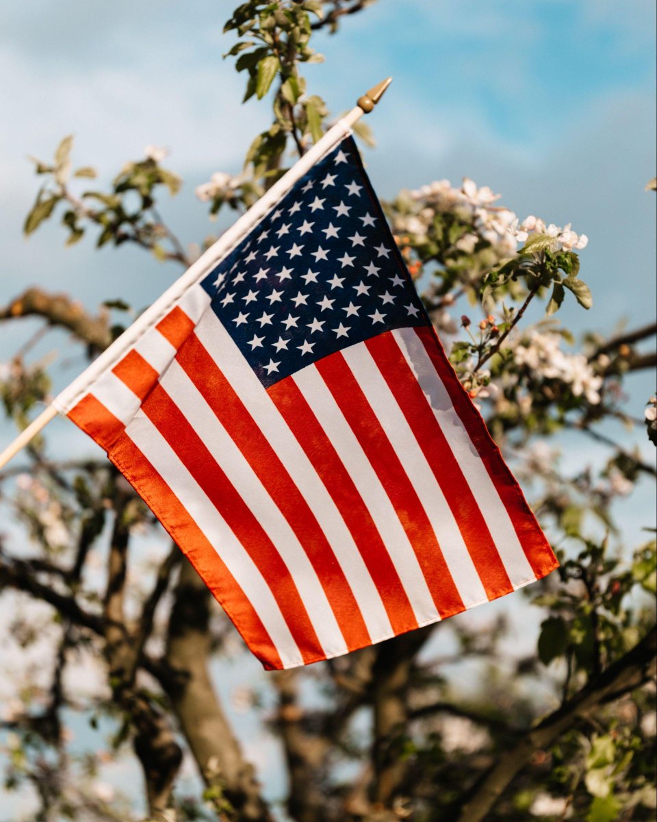 immigrate_us's tweet image. 🏡 Create a life you love in your American haven! 🏡 

relocate.global - a social media network for those who want to relocate to the USA and those who hire international talent. Register now! 

#RelocateToUSA #GlobalTalentHub #ImmigrationJourney