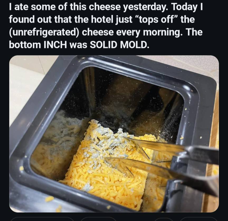 AskAubry 🦋 🐆🦝 tweet media