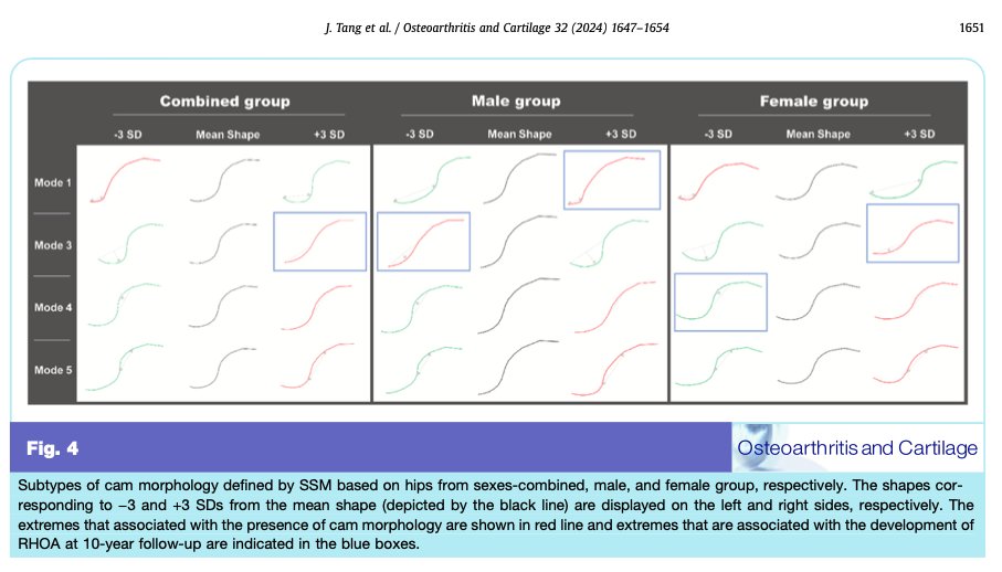 Osteoarthritis and Cartilage Journals (@oacjournal) on Twitter photo 4⃣ distinct cam morphology subtypes identified in the CHECK study👇
Read more about their r'ship with future hip #osteoarthritis in this large study (10y f/u, n=1002) by Tang et al. <a href="/JosRunhaar/">Jos Runhaar</a> <a href="/RintjeAgricola/">Rintje Agricola</a> <a href="/ErasmusMC/">Erasmus MC</a> in this month's <a href="/OACJournal/">Osteoarthritis and Cartilage Journals</a> issue! tinyurl.com/29f5fw7x 4⃣ distinct cam morphology subtypes identified in the CHECK study👇
Read more about their r'ship with future hip #osteoarthritis in this large study (10y f/u, n=1002) by Tang et al. <a href="/JosRunhaar/">Jos Runhaar</a> <a href="/RintjeAgricola/">Rintje Agricola</a> <a href="/ErasmusMC/">Erasmus MC</a> in this month's <a href="/OACJournal/">Osteoarthritis and Cartilage Journals</a> issue! tinyurl.com/29f5fw7x