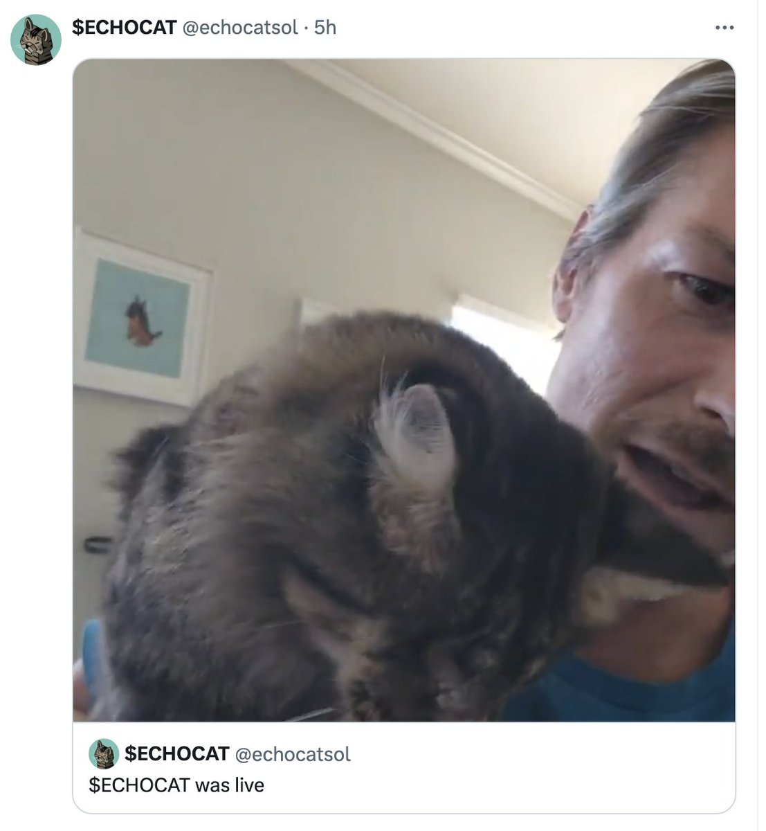StMoonShellz's tweet image. Did you see @echocatsol live stream? Pretty cool to see a fella with a vision to feed &amp;amp; shelter stray cats across the country with a little degen fire on the side! $echocat
