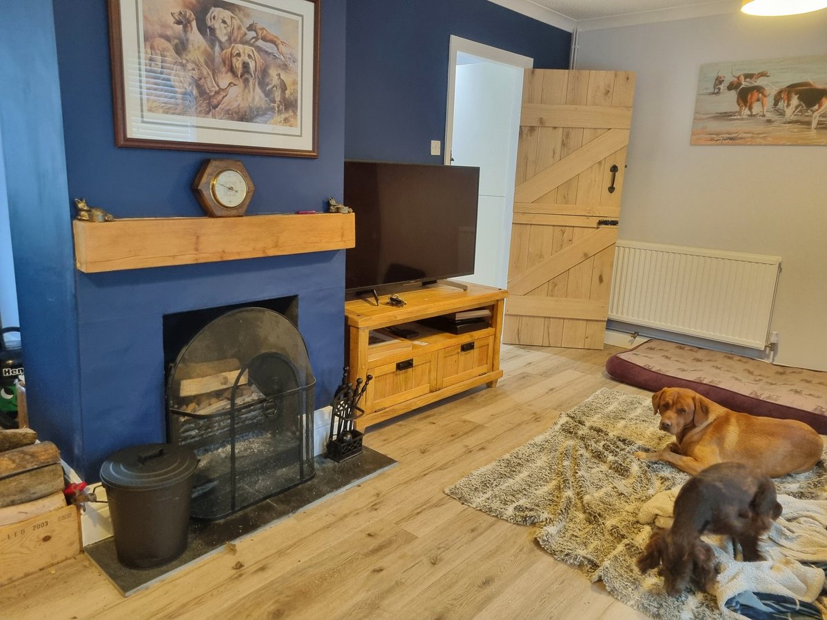 ACountryChap's tweet image. "Well bloody light it then will you, far too cold outside"

Sunday side eye from the #BigGingerDog #openfire #openfireplace