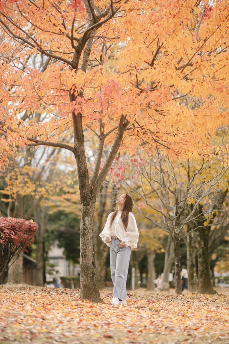 紅葉🍁
#ポートレート
#ポートレート撮影 
#ポートレートが好きな人と繋がりたい