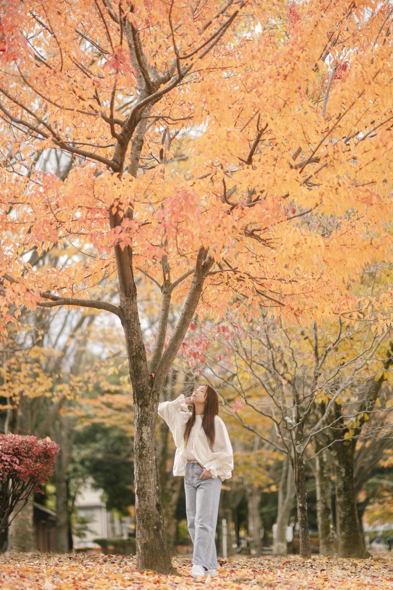 秋を満喫

Model 内澤美月 <a href="/MizukiUchizawa/">内澤美月</a> 

#モデルさんと繫がりたい 
#撮影依頼募集中
#撮影依頼受付中
#被写体募集
#ポートレートカメラマン
#フリーカメラマン長野
#ファインダー越しの私の世界 
#キリトリセカイ