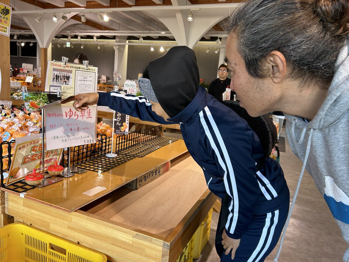 aicando's tweet image. 極早生品種の由良早生は近頃和歌山のトレンド品種っぽい。とんでもない甘味と皮のうすみ🍊ロマンティック農法のみかんと食べ比べしてみたいなー。