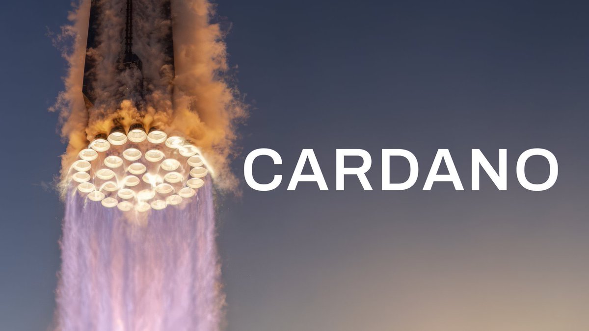 You don't survive two bears if you're not a blue chip top tier peak alpha crypto. Cardano engines are now on.