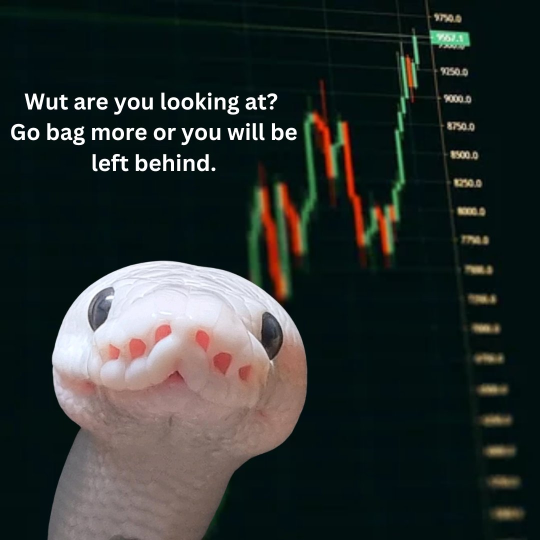 marshmallow_py's tweet image. It supercycle! Sell everything on your house and buy more crypto!
#NFA $MELLOW #supercyclememe #memecoin #SolanaMemeCoin #x1000gem