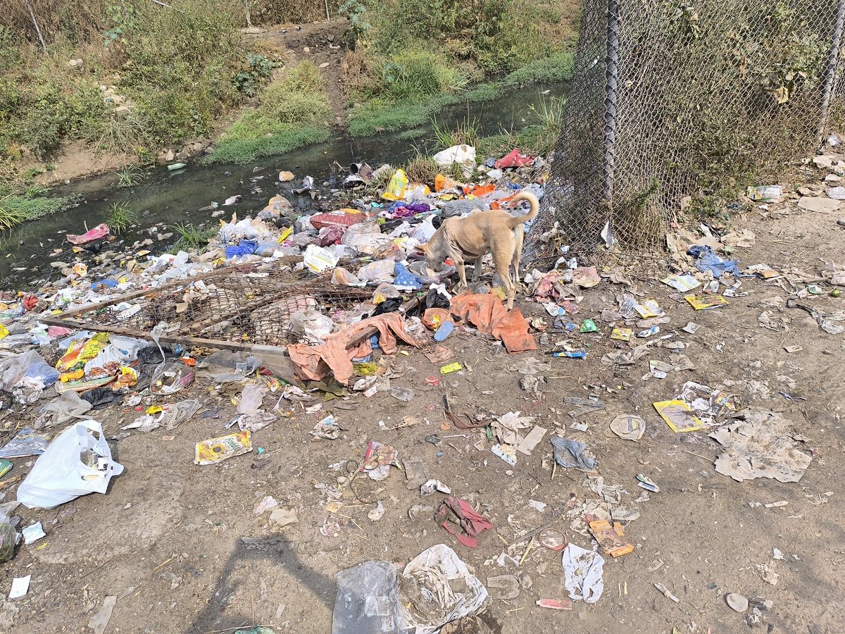 ఏ విజయేందర్ రెడ్డి సీనియర్ జర్నలిస్ట్ tweet media